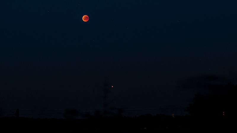 Mondfinsternis über dem Moor zwischen Neu Wulmstorf und Rübke. Unter dem Mond ist der Mars zu sehen. | Foto: Niels Kreller
