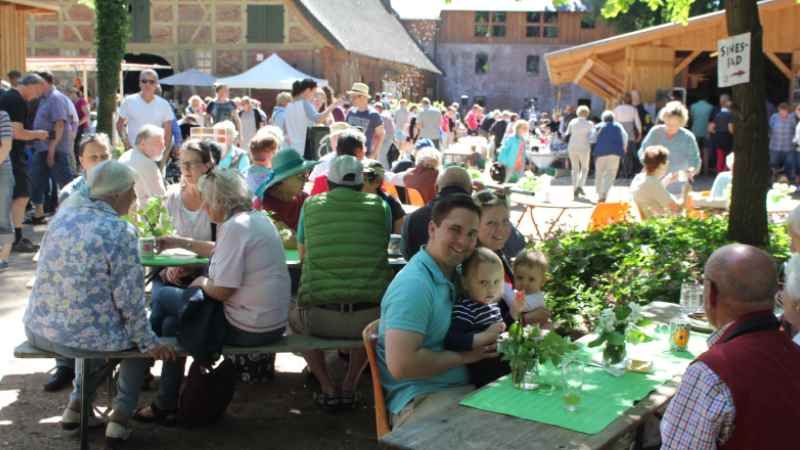 Buntes Treiben rund um die Wassermühle Karoxbostel. | Foto: ein