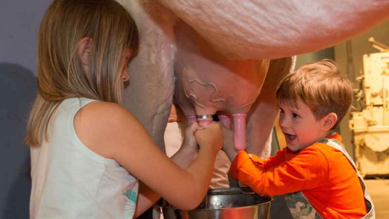 Kinder beim Melken der Modellkuh im Agrarium. | Foto: ein