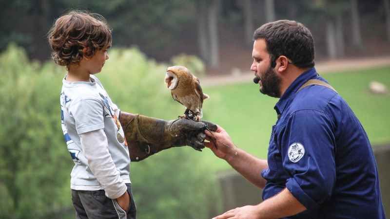 Auch grosse Falkner fangen klein an. | Foto: ein