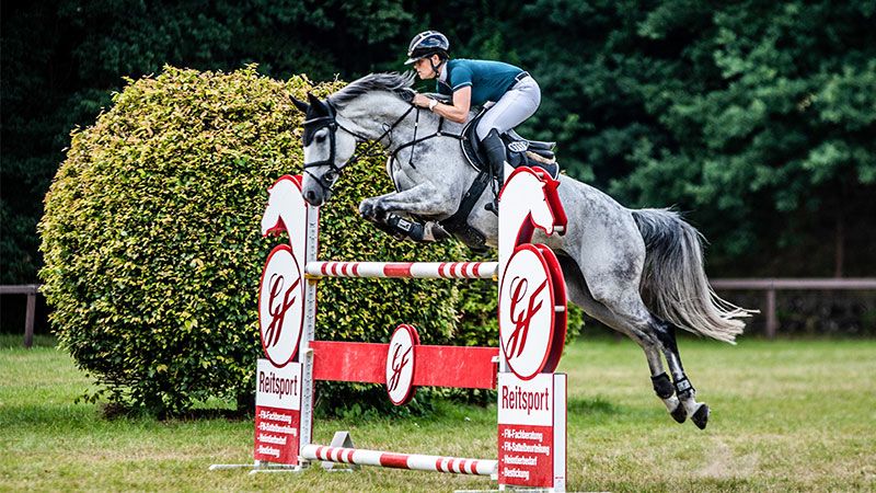 Der Harburger Reitverein lädt vom 15. bis 17. Juli zum großen Sommerturnier mit Dressur- und Springprüfungen bis zur schweren Klasse. | Foto: ein