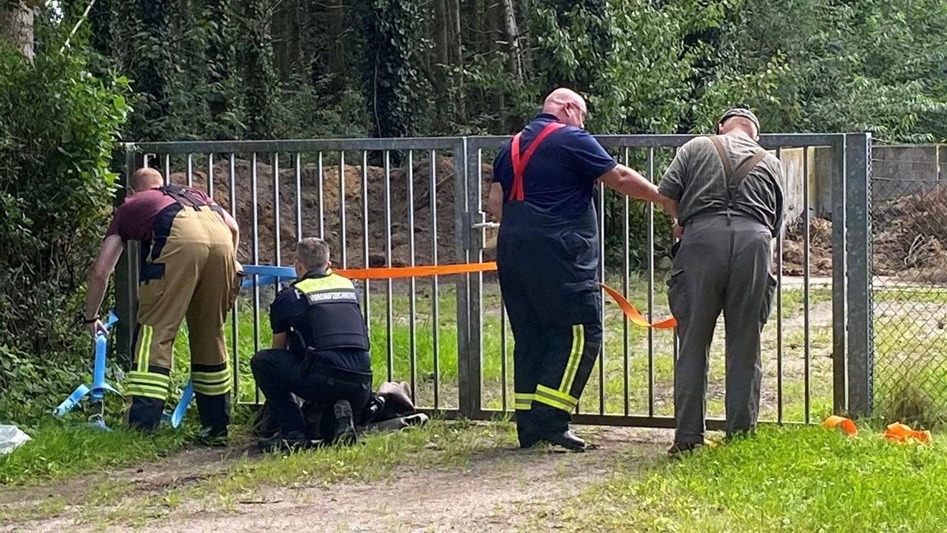 Retter befreien das eingeklemmte Reh. Foto: ein