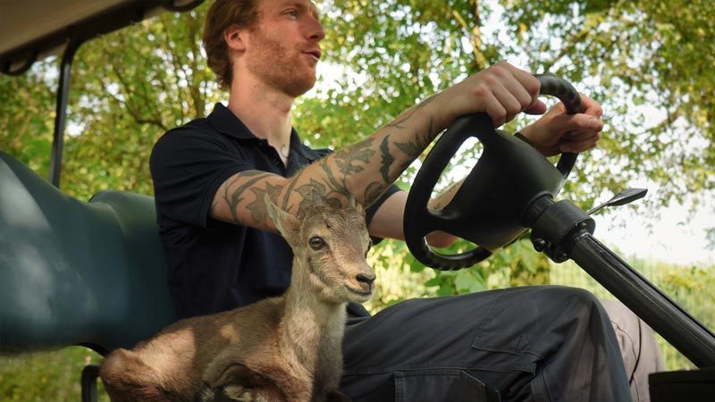 Ida on Tour mit Sebastian im Wildpark Schwarze Berge. | Foto: K. Ahrens, Wildpark Schwarze Berge