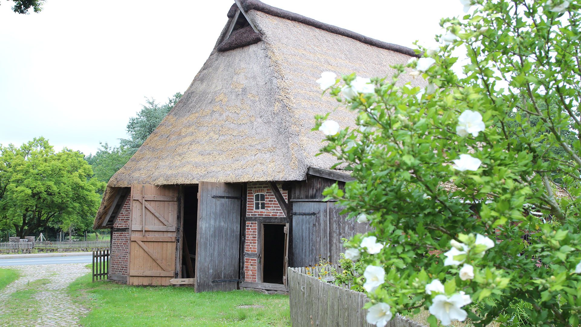 Das markante Reetdach des mehr als 200 Jahre alten Schafstalls wurde ausgebessert. Foto: Landkreis Harburg