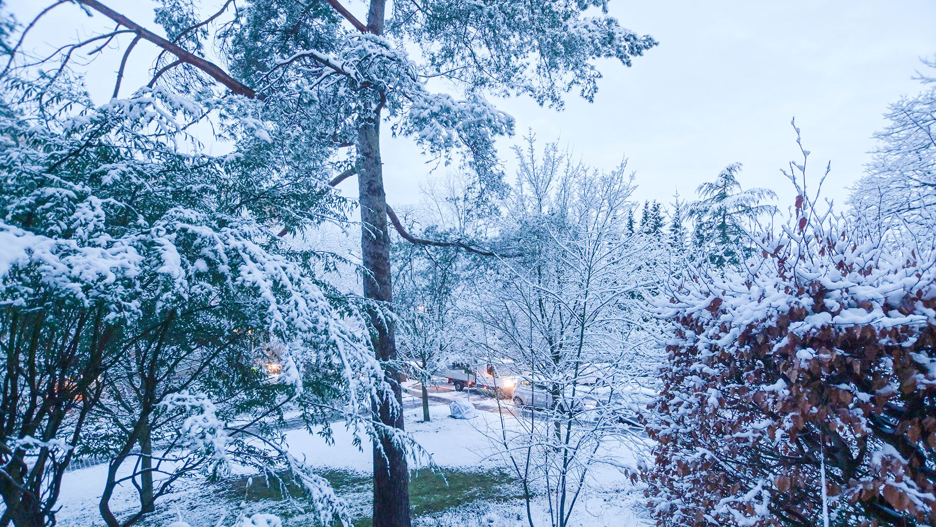 Heute Morgen erwartete die Menschen in Harburg Stadt und Land der Winter vor der Haustür. | Foto: Niels Kreller