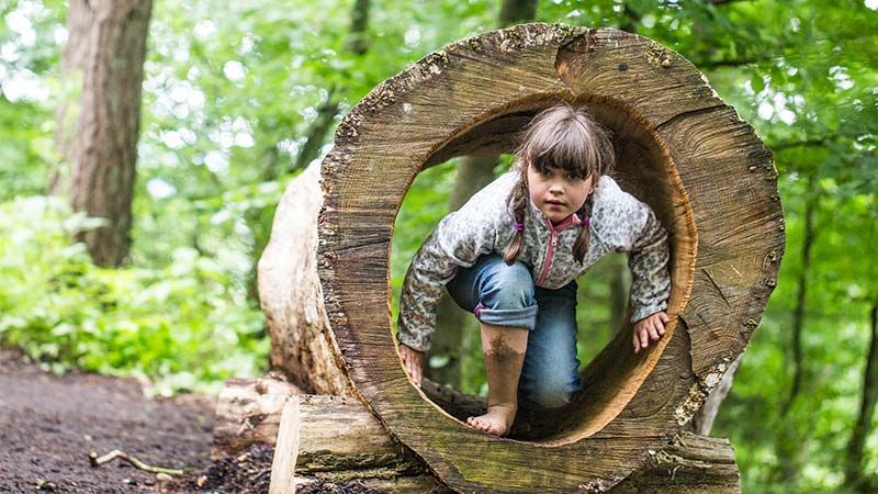 Viel SPaß und Erholung für Groß und Klein gibt es im Barfußpark Lüneburger Heide.