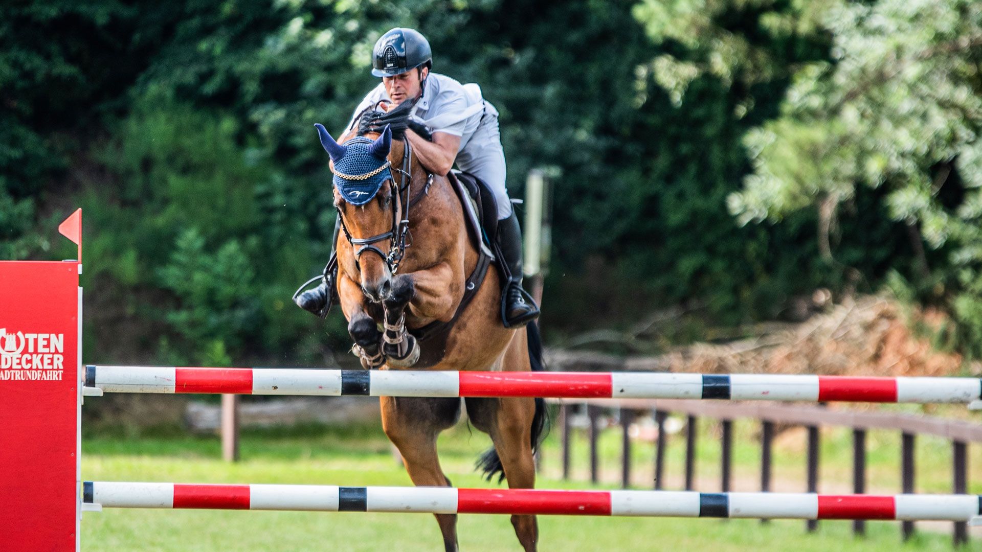 Vom 14. bis 16. Juli 2023 messen sich Profis und Amateure auf dem Gelände des Harburger Reitvereins. | Foto: ein
