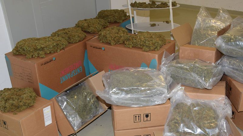 30 Kilo Marihuana stellte die Polizei bei dem 71-jährigen sicher. | Foto: Polizei