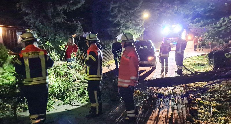 In Horst musste die Feuerwehr Maschen einen umgestürzten Baum beseitigen. | Foto: Feuerwehr