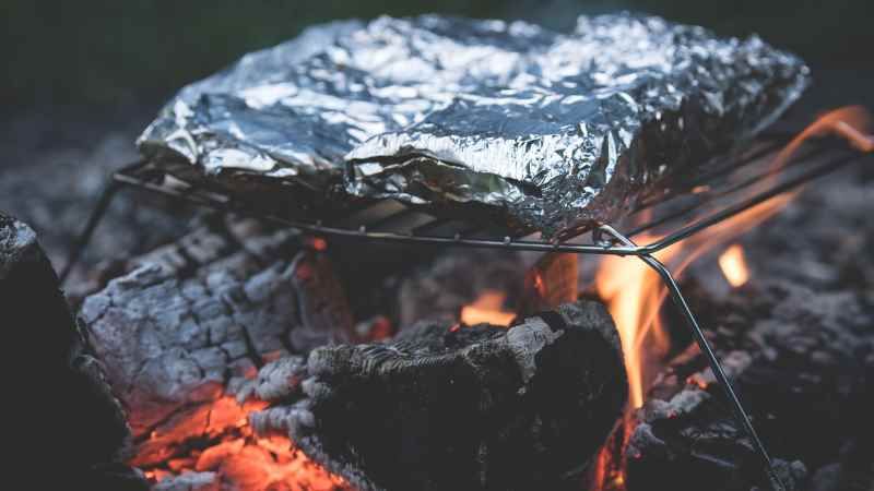 Zum Abschluss des Ausflugs ist ein gemeinsames Grillen im Harburger Stadtpark vorgesehen. | Foto: ein
