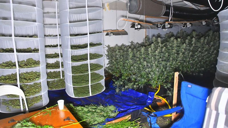 Die Züchter stattenen die Drogenplantage mit  professionellem Equipment wie großen Lüftungsrohren und Lampen aus. | Foto: HamburgNews