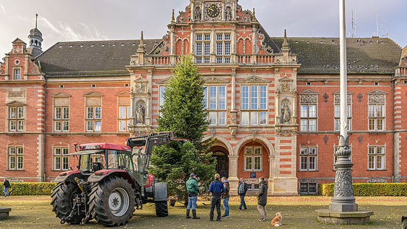 Am Sonntagmorgen wurde die große Nordmantanne vor dem Harburger Rathaus aufgestellt. | Foto: Niels Kreller