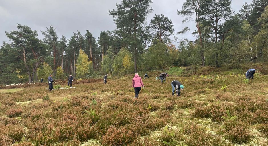 Tatkräftig für die Natur waren die Helferinnen und Helfer in der Wulmstorfer Heide im Einsatz. Foto: Landkreis Harburg