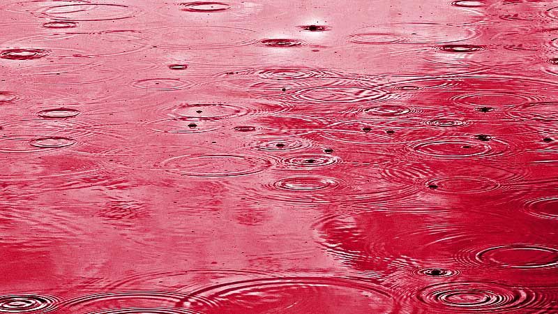 Ungefährlich aber spektakulär: Das Wetterphänomen Blutregen. | Foto: ein