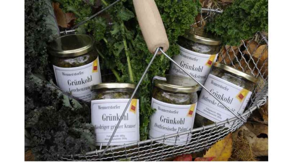 Themensonntag: Alles rund um den Grünkohl. Foto: ein