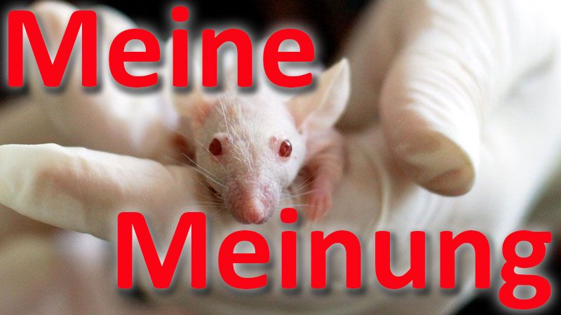 Versucht sich LPT reinzuwaschen?