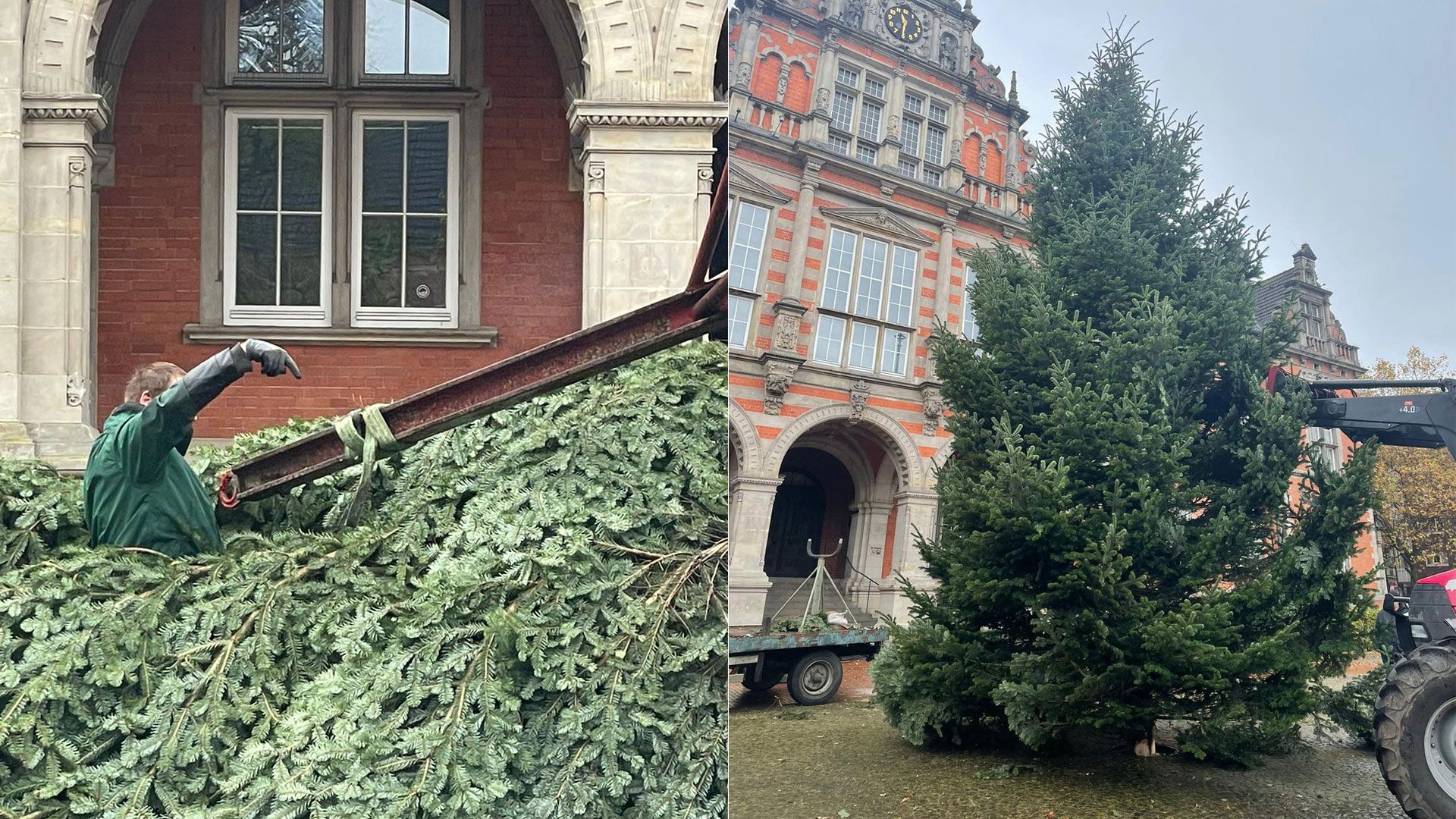 Am Samstag wurde der große Weihnachtsbaum vor dem Harburger Rathaus aufgestellt. | Foto: ein
