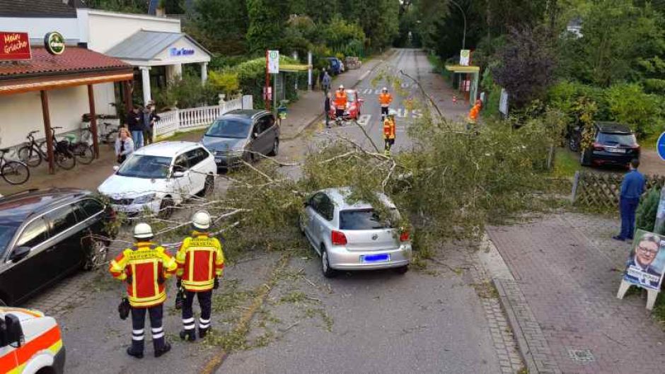 Immer wieder stürzten Bäume auf Straßen und Wege, diese wurden beseitigt. In Maschen stürzte ein Baum auf ein fahrendes Auto und verfehlte die Fahrerin dabei nur knapp. | Foto: ein