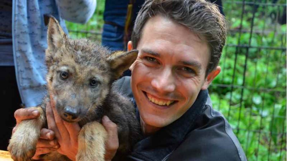 Reviertierpfleger Sebastian Müller mit einem der Minniwölfe. | Foto: ein
