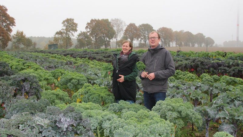 Gärtnermeisterin Anna-Lena Woelfert und Leiter Museumsbauernhof Dr. Moritz Geuther bieten Grünkohl in Wennerstorf. | Foto: FLMK