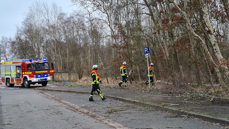 In Maschen beseitigte die Feuerwehr im Moorweidendamm mittels Seilwinde einen in fünf Metern Höhe abgebrochenen Baum. | Foto: Feuerwehr