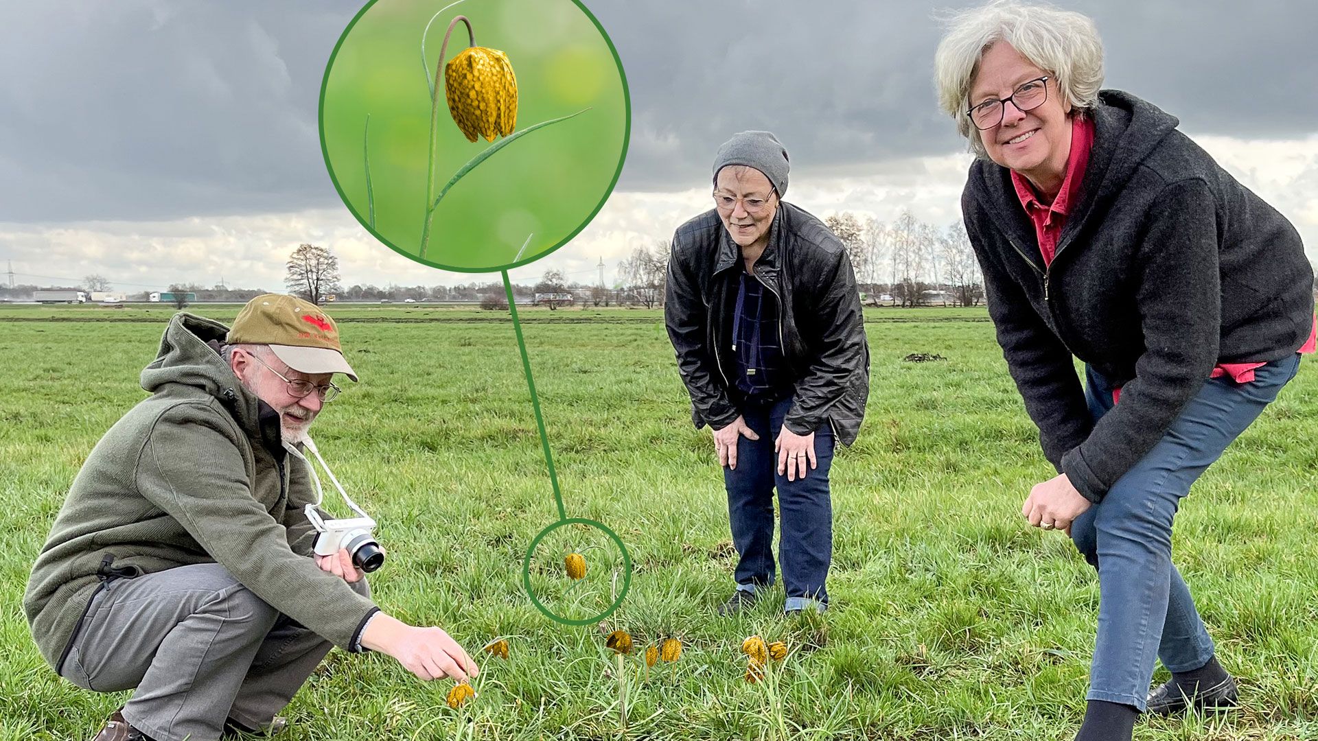 Seevetals Bürgermeisterin Emily Weede (r.) zusammen mit Dietrich Westphal (l.) und Jutta Freudenberg an der Fundstelle der goldgelben Schachbrettblume. | Foto: Gemeinde Seevetal