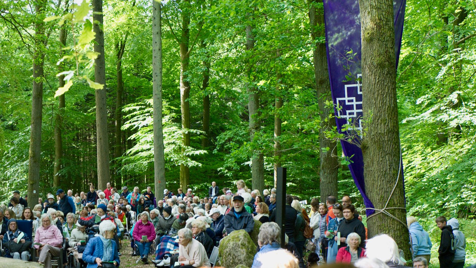 Viele Besucherinnen und Besucher kommen gern zum Waldgottesdienst in den Klecker Wald. Foto: C. Wöhling