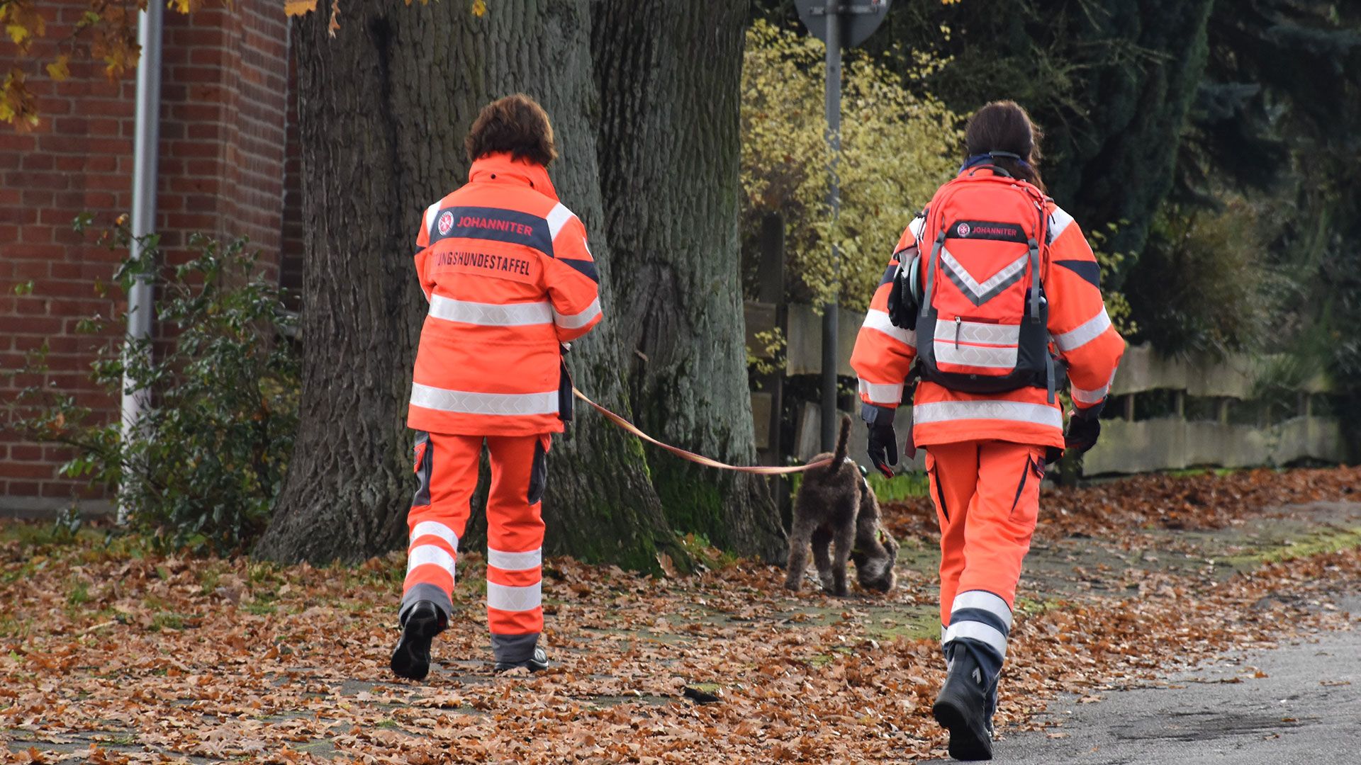 Im praktischen Teil der Rettungshundeprüfung muss das Hund-Mensch-Team binnen 70 Minuten eine vermisste Person aufspüren. | Foto: Johanniter