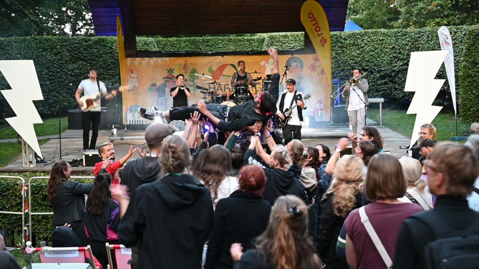Stage Diving beim "Punk im Park" gab es auch beim Sommer im Park. Foto: Harburg Marketing