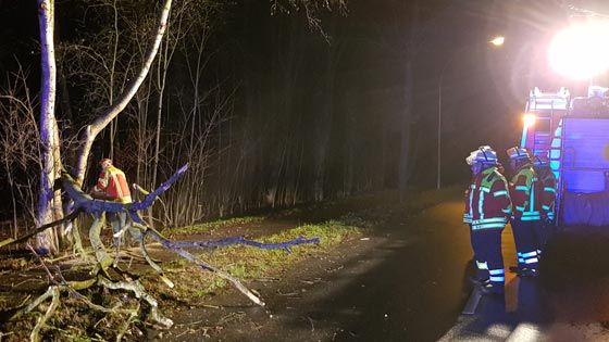 Wie hier in Maschen in der Schützenstraße mussten mehrfach Feuerwehren des Landkreises ausrücken, um durch Sturmböen umgestürzte Bäume zu beseitigen. | Foto: ein