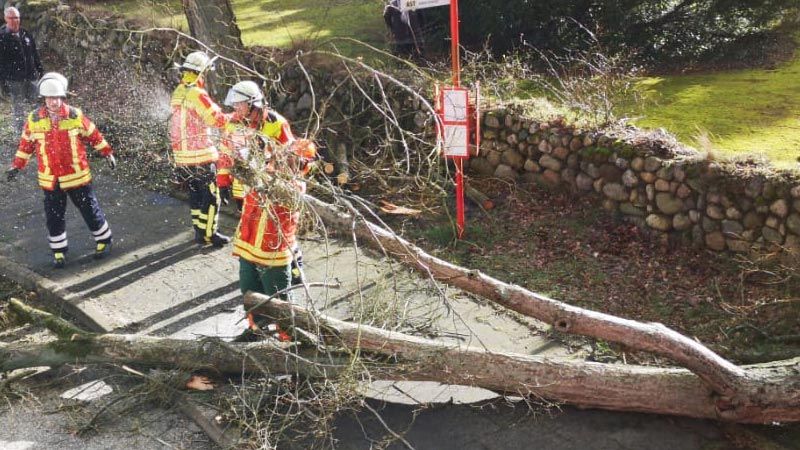 In der Horster Landstraße in Horst beseitigte die Feuerwehr Maschen diesen großen Ast. | Foto: Remon Hirschmeier