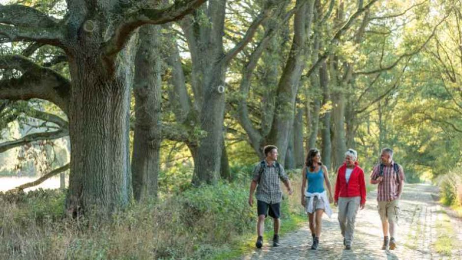 Heidschnuckenweg bei Wilsede. | Foto: ein