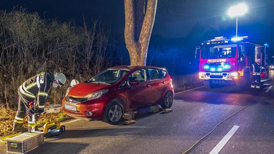Die Feuerwehr versuchte noch, mit hydraulischem Gerät den eingeklemmten Hund zu befreien und zu retten - vergeblich. | Foto: JOTO