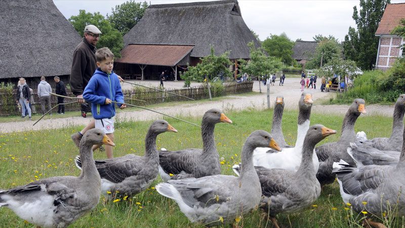 Bald beginnt wieder das Kinderferineprogramm im Freilichtmuseum am Kiekeberg. | Foto: FLMK