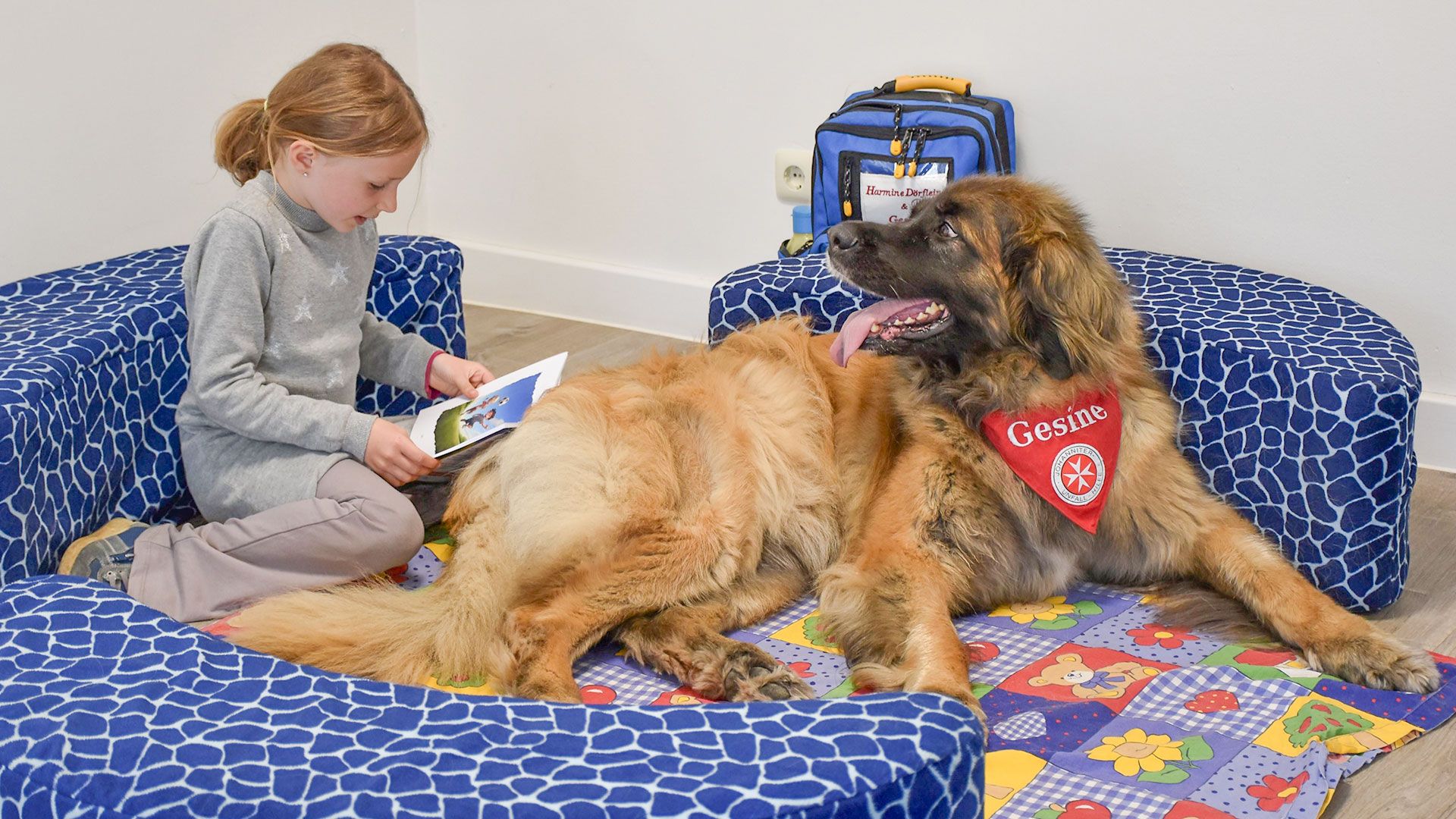 Der Lesehund hört dem Kind aufmerksam zu, ohne es zu korrigieren. Foto: Johanniter