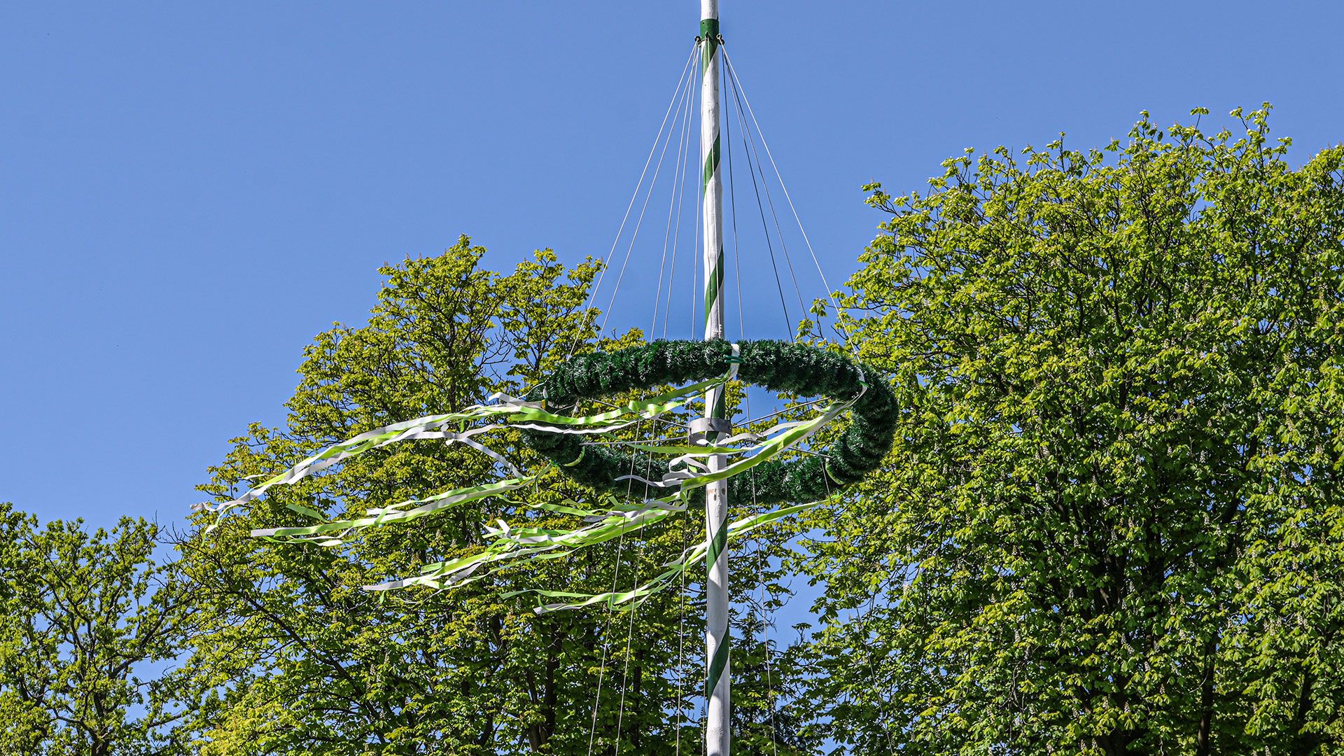 Tradition in Marmstorf- das Maibaum Aufstellen. Foto: Niels Kreller