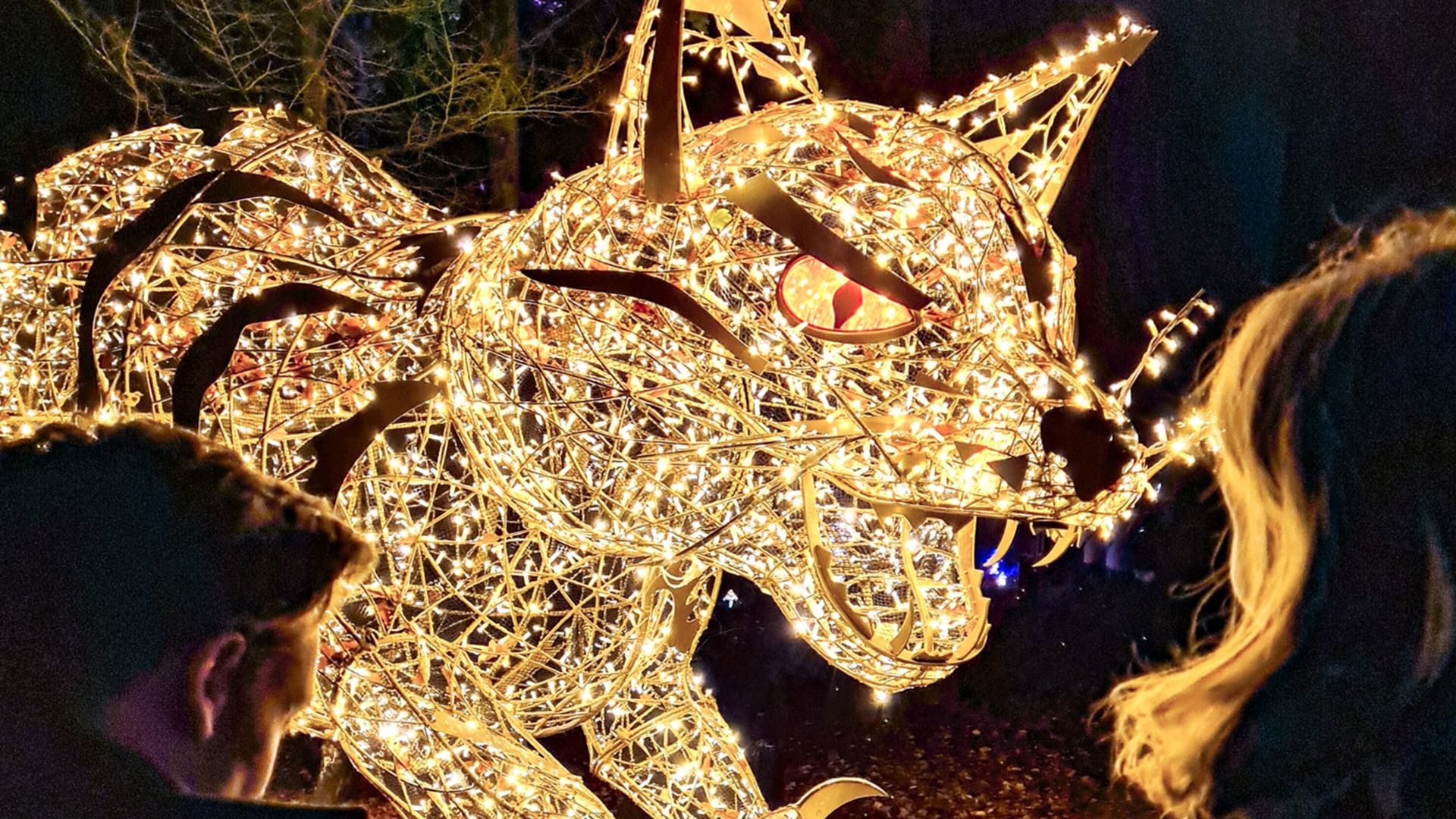 Der Wildpark Schwarze Berge in Vahrendorf bringt mit Lumagica Licht in die dunkle Jahreszeit. | Foto: Wildpark Schwarze Berge