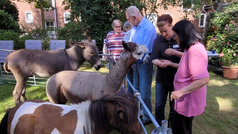 Streichelzoo vor Ort“: Die Tagesgäste genossen es. | Foto: DRK Harburg