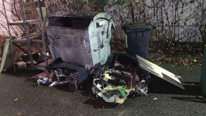 Am Sonntag ging in Buxtehude wieder der Feuerteufel um: An fünf Stellen wurde gezündelt. | Foto: Polizei