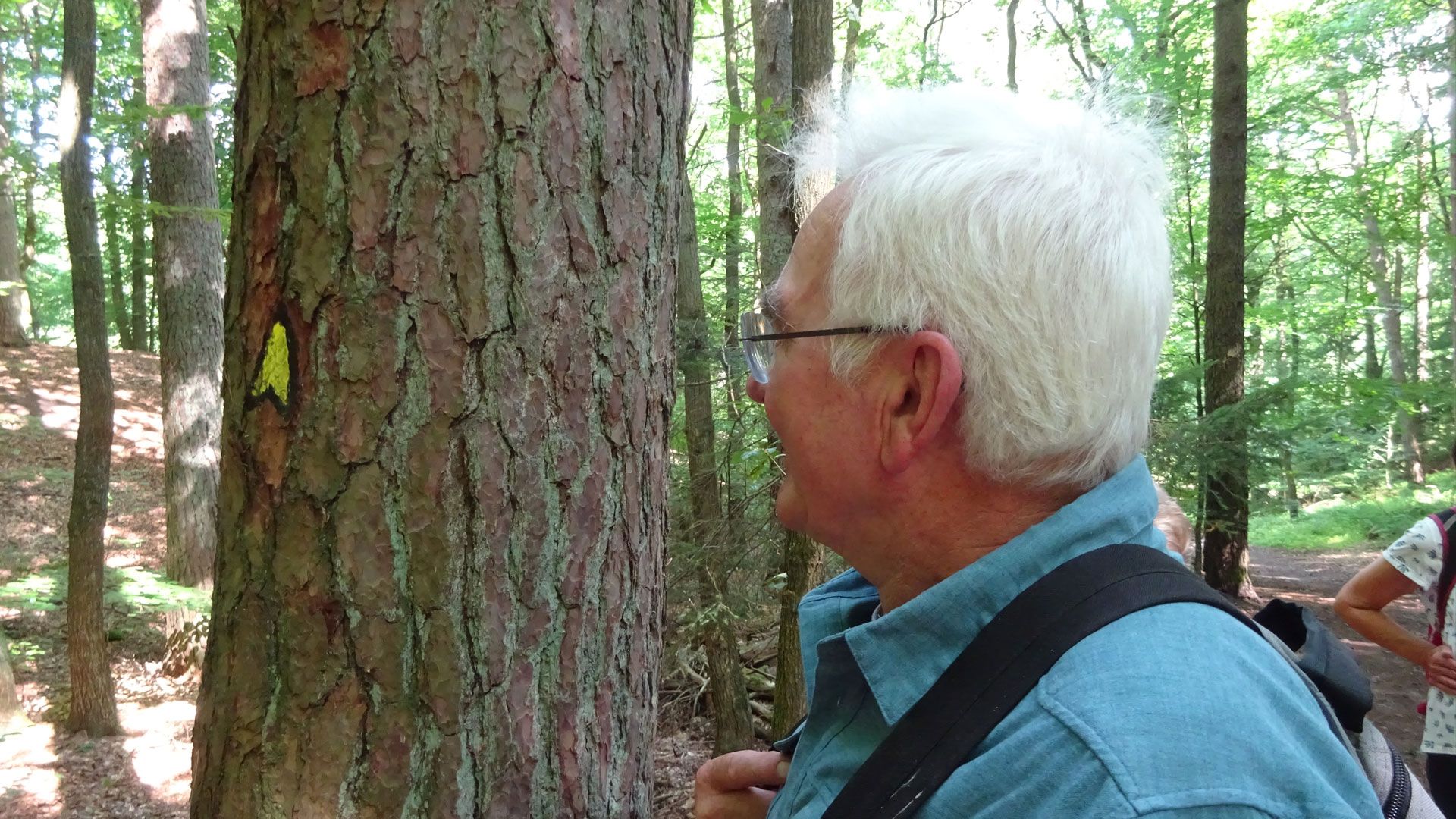 Erich Svensson aus Wilstorf begutachtet den neu gemalten Pfeil im Eißendorfer Forst. | Foto: Helga Weise