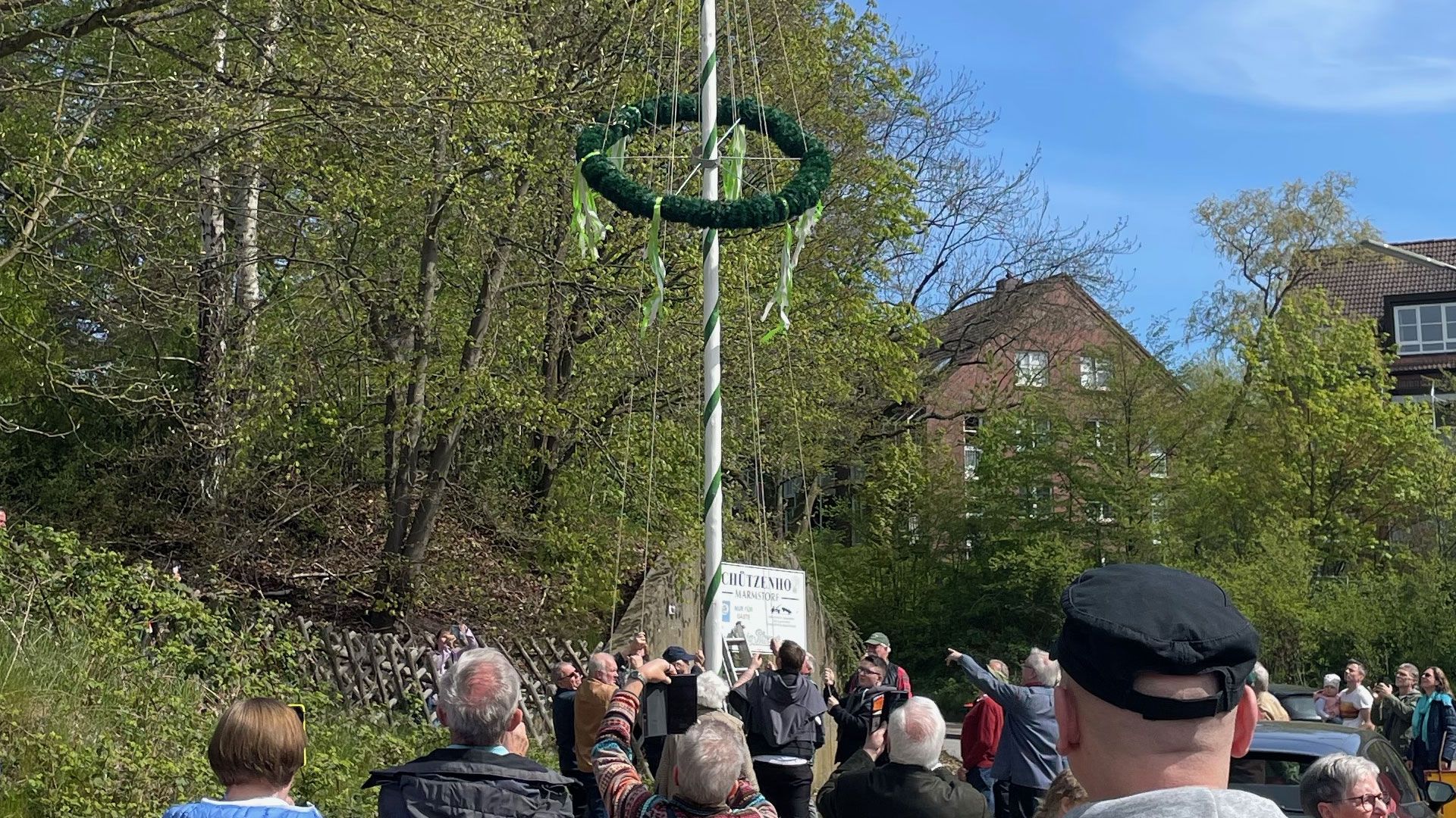 Der traditionelle Maibaum der Schützen ziert wieder den Marmstorfer Ortskern. | Foto: ein