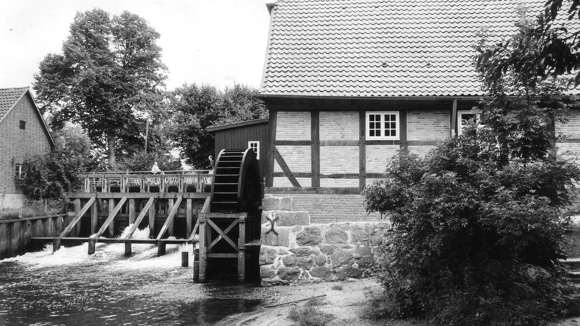 Dr. Nils Kagel hält einen Vortrag zur Geschichte des Mühlenmuseum Moisburg. | Foto: FLMK
