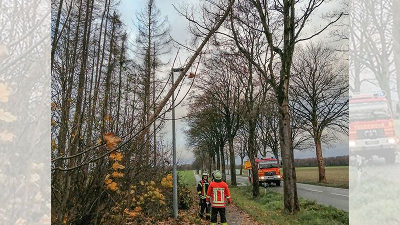 Auch im Landkreis Harburg richtete Orkan Daniel Schäden an. Wie hier in Garstedt knickten viele Böume um. | Foto: