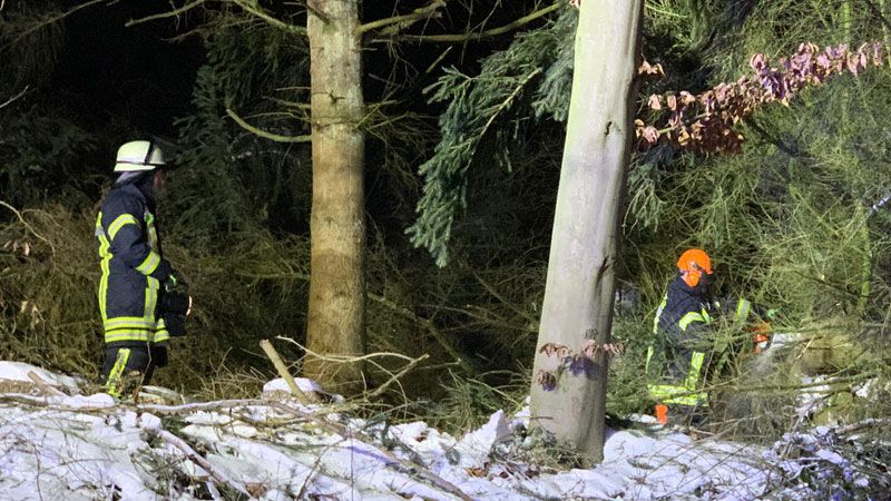 In Brackel beseitigte die Feuerwehr mehrere umgestürzte Tannen in der Straße „Auf dem Rothberg“. | Foto: FF Brackel