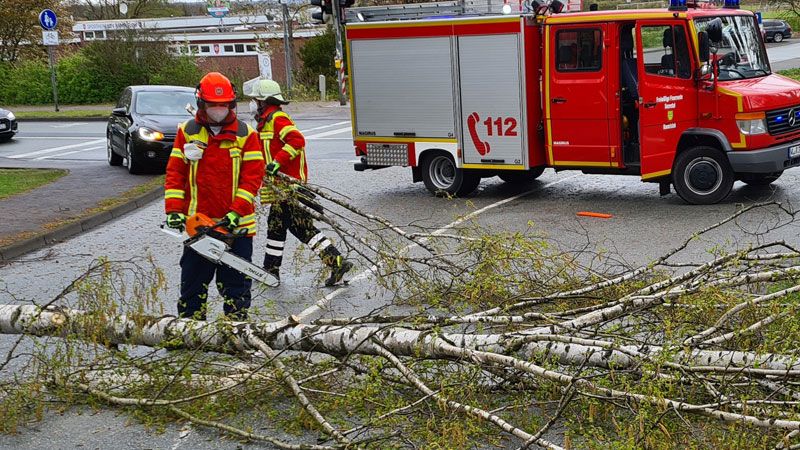 In Ramelsloh war die örtliche Feuerwehr in der Ohlendorfer Straße im Einsatz und beseitigte eine umgestürzte Birke. | Foto: Feuerwehr