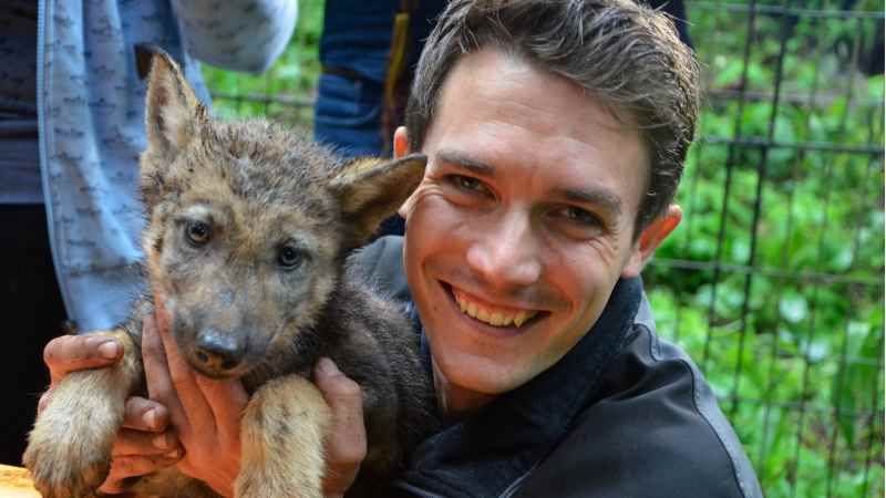 Reviertierpfleger Sebastian Müller mit einem der Minniwölfe. | Foto: ein