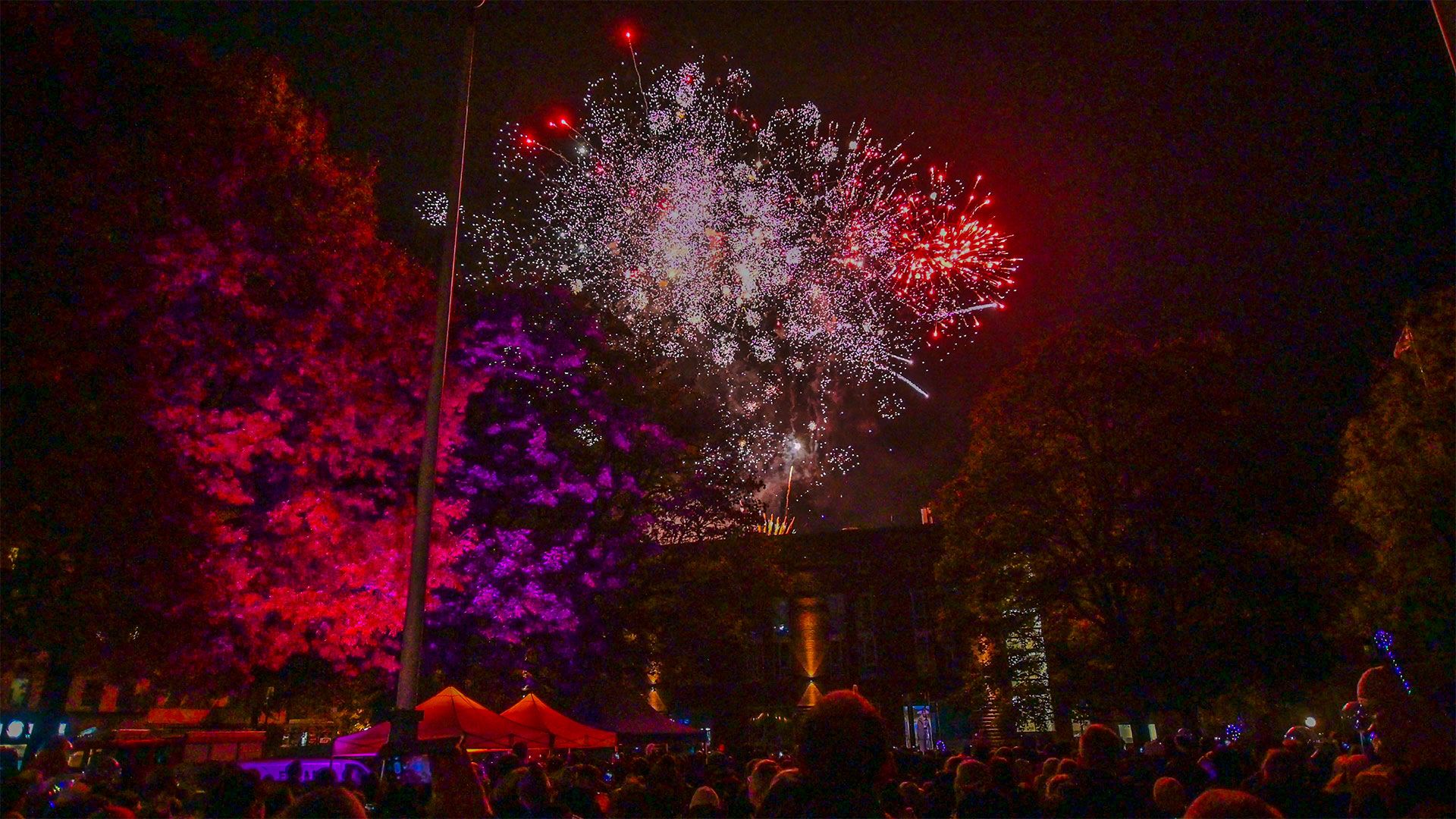 Der krönende Abschluss: Das große Feuerwerk nach dem Laternenumzug der Harburger Schützengilde. | Foto: Niels Kreller