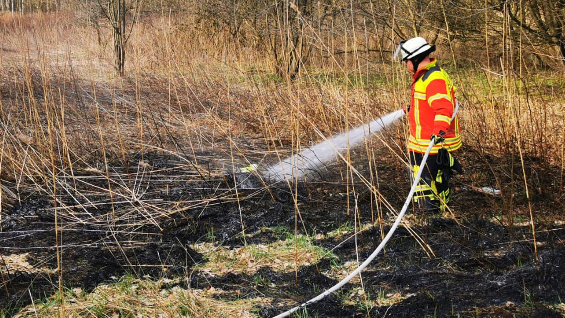 Die Feuerwehr Maschen musste in der WInsener Landstraße zwischen Maschen und Karoxbostle den ersten Vegetationsbrand dieses Jahres in der Gemeinde Seevetal bekämpfen. | Foto: Remon Hirschmeier, FF Maschen