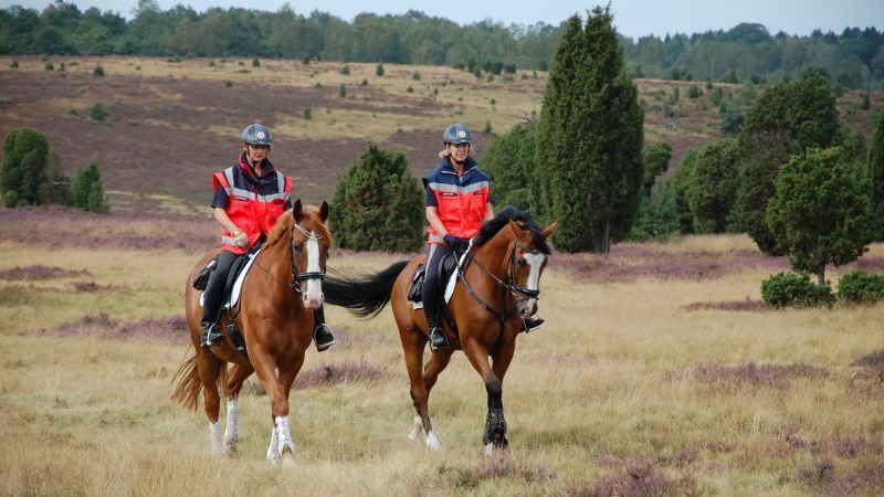 Die Johanniter-Reiterstaffel unterstützt vor allem dort, wo ein Rettungswagen nicht schnell hinkommt – zum Beispiel in der Lüneburger Heide. | Foto: ein