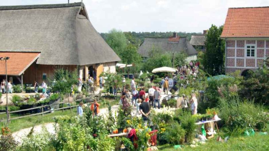 Bunte Blütenpracht auf dem Pflanzenmarkt am Kiekeberg. | Foto: ein